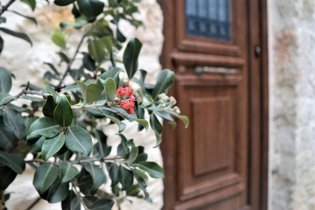 Malama'S Maisonette At The Historic Center イラクリオン エクステリア 写真